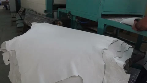 Chamber Of Dyeing Leather 5 Video stock 141461955