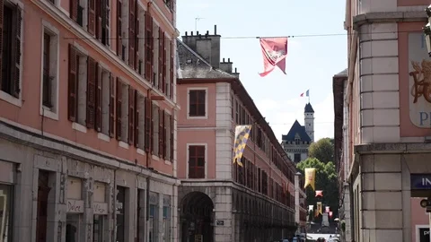 Chambery, medieval flags floating by the wind Stock Footage 80231841