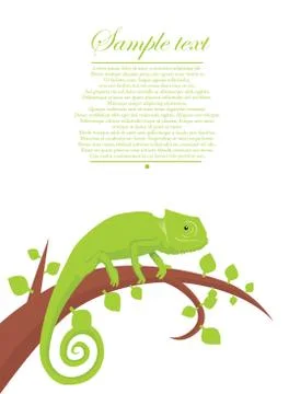 Chameleon background Stock Illustration