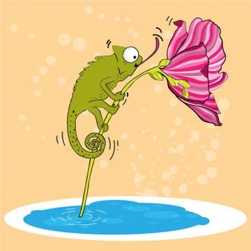 Chameleon Cartoon illustration vector Stock Illustration