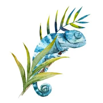Chameleon Stock Illustration