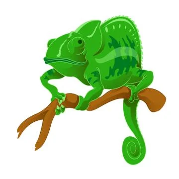 Chameleon Stock Illustration