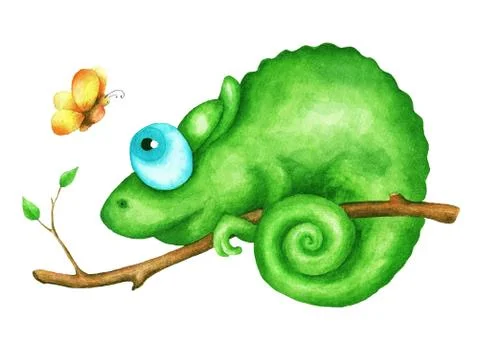 Chameleon Stock Illustration