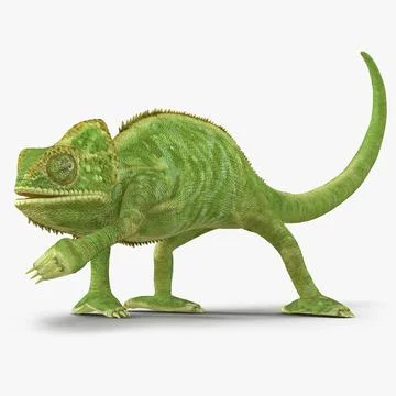 Chameleon Pose 3 3D Model