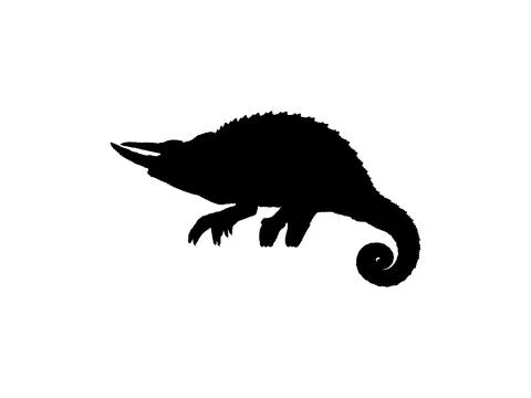 Chameleon silhouette isolated Stock Illustration
