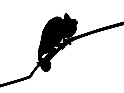 Chameleon silhouette perched on a branch Stock Illustration