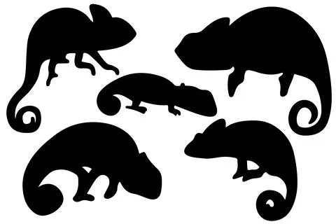 Chameleon silhouette vector for websites, graphics related artwork Stock Illustration