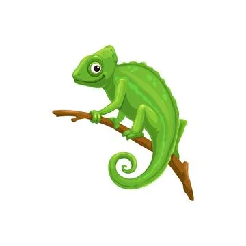 Chameleon sitting on tree branch, vector lizard Illustrazione stock
