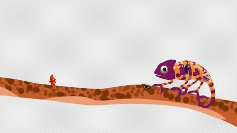 Chameleon1 Stock Footage 319372464