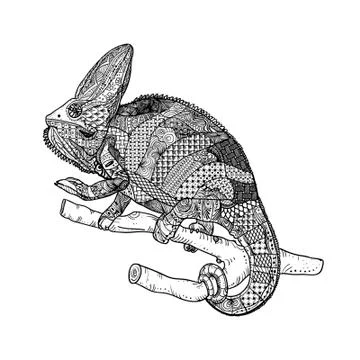 Chamelion. Vector illustration. Illustrazione stock