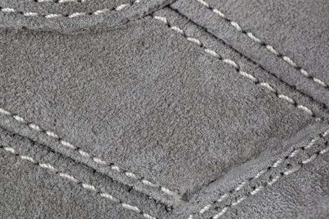 Chamois closeup Stock Photos