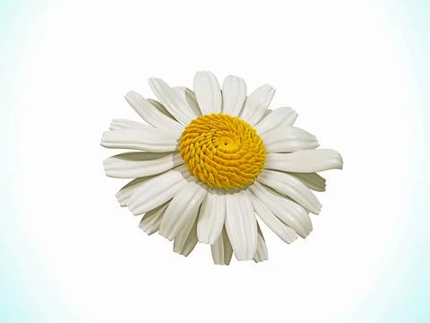 Chamomile 3d illustration on white background. Illustrazione stock