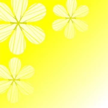 Chamomile abstract Stock Illustration