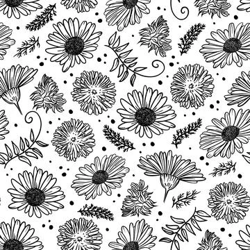 CHAMOMILE AND DANDELION Seamless Pattern Vector Illustration Stock Illustration