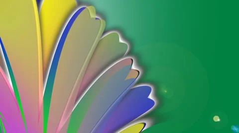 Chamomile. Animation. Video stock 37371796