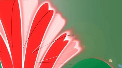 Chamomile. Animation. Video stock 37372069