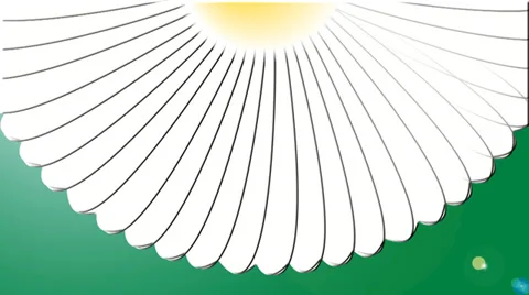 Chamomile. Animation. 스톡 동영상 37440376