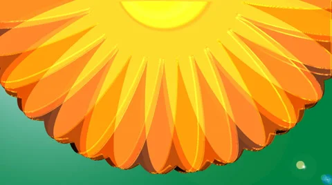 Chamomile. Animation. 스톡 동영상 37441045