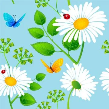 Chamomile background Stock Illustration