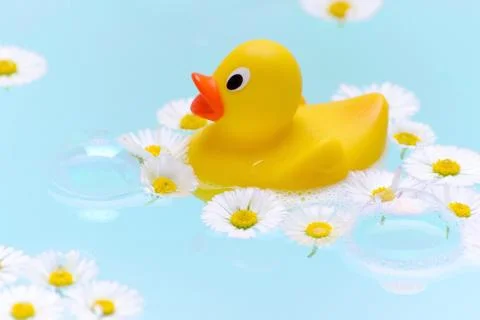 Chamomile bath with soap bubbles, a duck and flowers Stock Photos