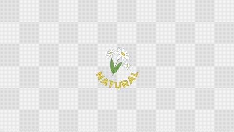 Chamomile bunch 2D element animation Stock Footage 295937909