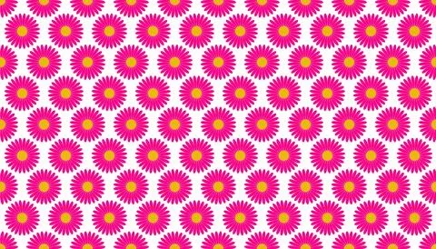 Chamomile, camomile, daisy, gerbera seamless pattern Stock Illustration