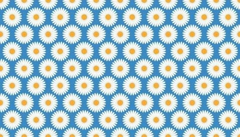 Chamomile, camomile, daisy, gerbera seamless pattern Stock Illustration