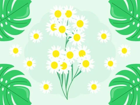 Chamomile Concept Illustration Stock Illustration