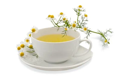 Chamomile cup with flowers Stock Photos