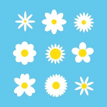 Chamomile, Daisy, White Flowers Vector Set Stock Illustration