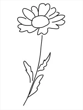 Chamomile in the doodle style Stock Illustration