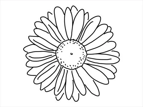 Chamomile in the doodle style Stock Illustration