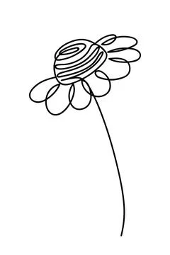 Chamomile drawing in single continuous line art Stock Illustration