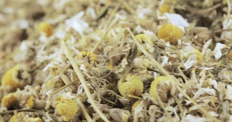 Chamomile drug bulk Vídeo Stock 123080769