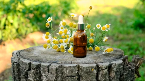 Chamomile essential oil in a bottle. Selective focus. Stock Footage 285927530