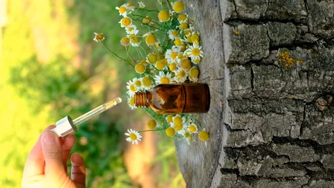 Chamomile essential oil in a bottle. Selective focus. Stock Footage 286331613