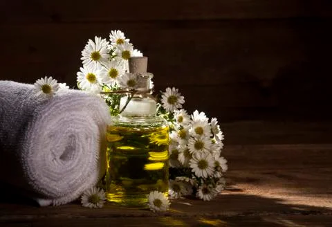 Chamomile Essential Oil Stock Photos