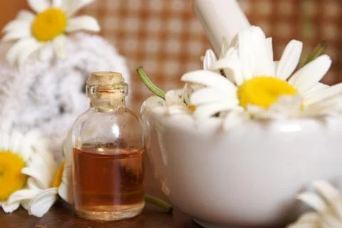 Chamomile Essential Oils Stock Photos