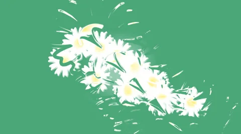 Chamomile field. Animation. 스톡 동영상 37271489