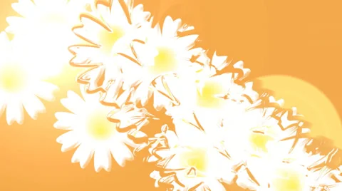 Chamomile field. Animation. 스톡 동영상 37271561