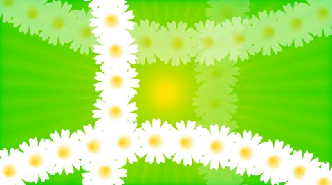 Chamomile field. Animation. 스톡 동영상 38410316