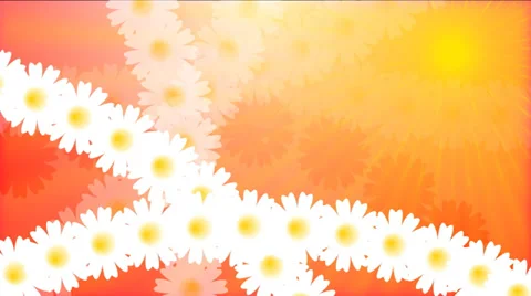 Chamomile field.  Animation. Loop able File. Video stock 37735539
