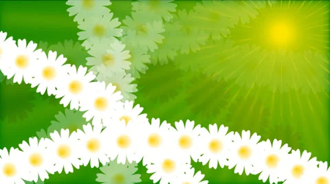 Chamomile field.  Animation. Loop able File. 스톡 동영상 37737500