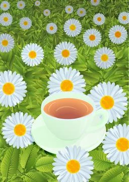 Chamomile field cup with drink Stock Illustration