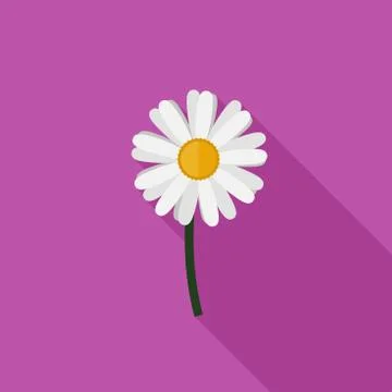 Chamomile flat icon Stock Illustration