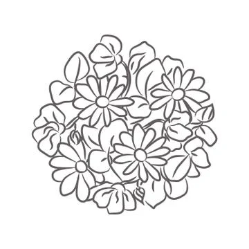 Chamomile floral rosette vector isolated composition. Illustrazione stock