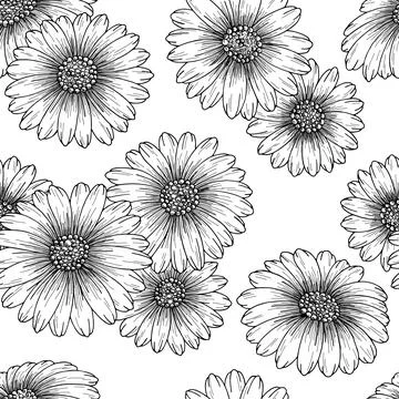 Chamomile flower graphic seamless pattern background sketch illustration vector Stock Illustration