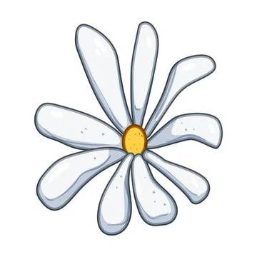 Chamomile flower head design on white background Stock Illustration