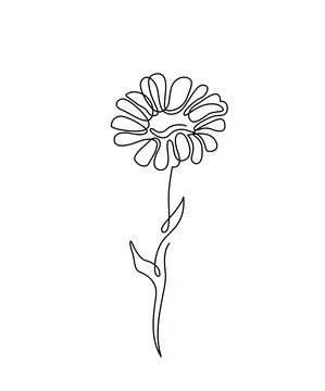 Chamomile flower illustration in simple minimal continuous outline line style Stock Illustration