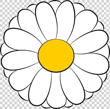Chamomile flower isolated Stock-Illustration